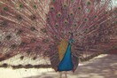INSTA#LIFO: Παρασκευή 3 Μαΐου