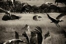 Οι καλύτερες φωτογραφίες του 2013 από τον διαγωνισμό Travel Photographer