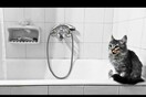  #LIFOPETS (20): Αυτά είναι τα κατοικίδιά μας 