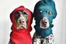 The Pointer Brothers