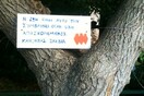 INSTA#LIFO: Τρίτη 17 Δεκεμβρίου 
