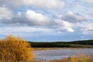Eurobirdwatch - Γιορτή πουλιών