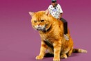 Oλοκαίνουριο βίντεο κλιπ: Tyler the Creator, Tamale