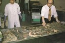 To wtf της ημέρας: Ανθρώπινα δέρματα φυλάσσονται σε μουσείο του Τόκιο.