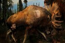 Natural History. Traer Scott.