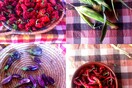 Τρεις λόγοι για να ξαναπάω στο νησί μου