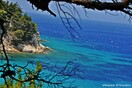 Σάμος: τα πιο πράσινα ακρογιάλια, τα πιό καλά τραπέζια