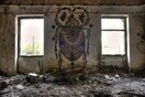 Τα εντυπωσιακά σκαθάρια του Δημήτρη Ντόκου