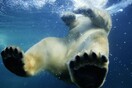 Οι καλύτερες σειρές για να γνωρίσετε τη γη