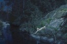 Melancholia