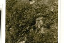 Wittgenstein