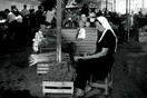 Διακοπές στην Αλβανία 