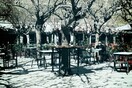 Η Κυψέλη του Πέτρου Μάρκαρη
