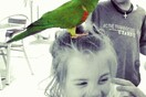 #LIFOPETS (34): Αυτά είναι τα κατοικίδιά μας