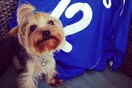 #LIFOPETS (57): Αυτά είναι τα κατοικίδιά μας