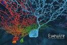 Παίξτε τώρα online games και βοηθήστε την επιστήμη!