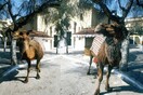 Στο δρόμο προς τη Βηθλεέμ
