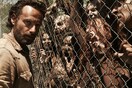 To σύμπαν του Walking Dead διαστέλλεται
