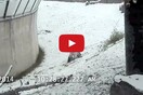 Ένα γιγάντιο panda χαίρεται με το χιόνι 