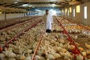  Οι 5 χειρότερες ειδήσεις της ημέρας
