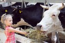 Μια μέρα σε ένα υπέροχο αγρόκτημα λίγο πιο έξω απ' την Αθήνα 