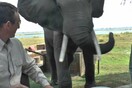 Ελέφαντας καταστρέφει το γεύμα ξέγνοιαστων τουριστών σε ένα εθνικό πάρκο της Αφρικής
