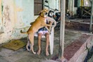 Pondicherry