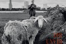 Wim uber alles