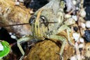 Δύο επισκέπτες κι ένας πνιγμός