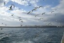 Θλίψη και μελαγχολία στην Ιστανμπούλ 