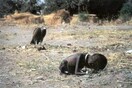 10 εικόνες που άλλαξαν τον τρόπο που βλέπουμε τον κόσμο