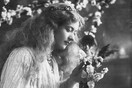 Ποια ήταν η καλλονή Maude Fealy;