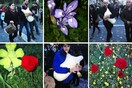 Τσαμπούνες και γκάιντες στο λόφο του Φιλοπάππου για την παγκόσμια ημέρα άσκαυλου