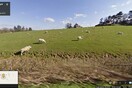 Ένα Tumblr ξετρυπώνει τα πρόβατα όλου του κόσμου από τις κρυψώνες τους