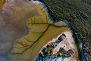 Αυστραλία: Το «δέντρο της ζωής» μέσα σε μια λίμνη - Φωτογραφίες