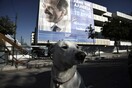 Πώς λειτουργεί η επικοινωνία των κομμάτων (και) αυτές τις εκλογές;