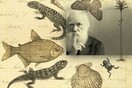 Εξελικτικός θρίαμβος