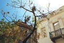 Από το Α ως το Ω