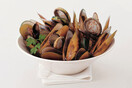 Food Ethics