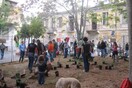 Guerilla Gardening, Quantized Music Label Party.
