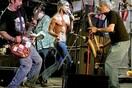 The Stooges