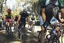 Bicycle Film Festival, ο Συμβολαιογράφος