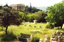 Ελιές, μέθυσοι πλάτανοι και δάφνες