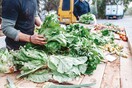 Οι βιολογικές αγορές της Αθήνας