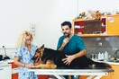 Ο κτηνίατρος: όλες οι χρήσιμες συμβουλές 