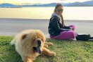 10 νέες φωτογραφίες απ' τα τέλεια ζώα των αναγνωστών μας #555
