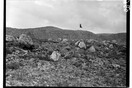Fred Boissonnas: Νυχτοπούλι στη Κεφαλλονιά του 1912