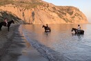 Ήσυχες μέρες στο νησί