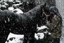 10 νέες φωτογραφίες απ' τα τέλεια ζώα των αναγνωστών μας #547