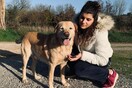 10 νέες φωτογραφίες απ' τα τέλεια ζώα των αναγνωστών μας #566